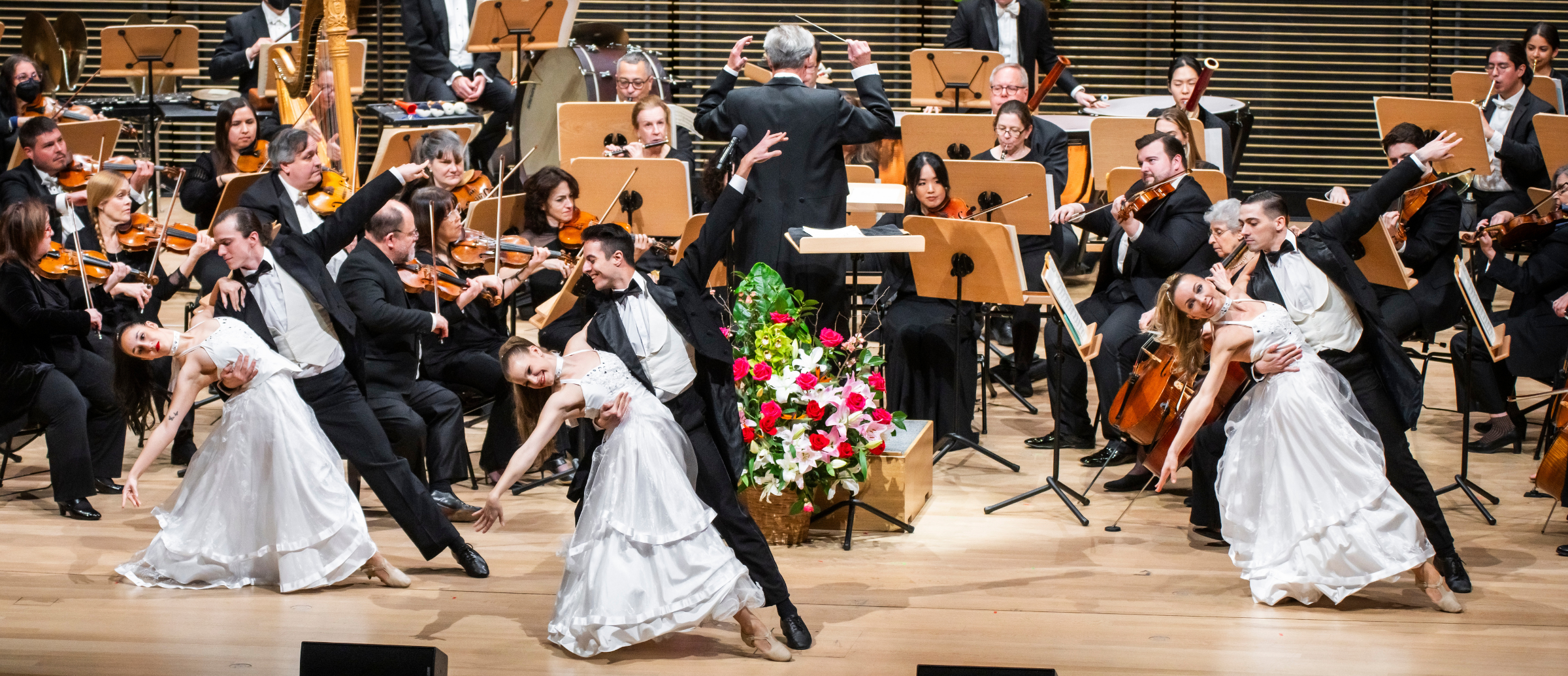 Hommage à Vienne | Le concert du Nouvel An