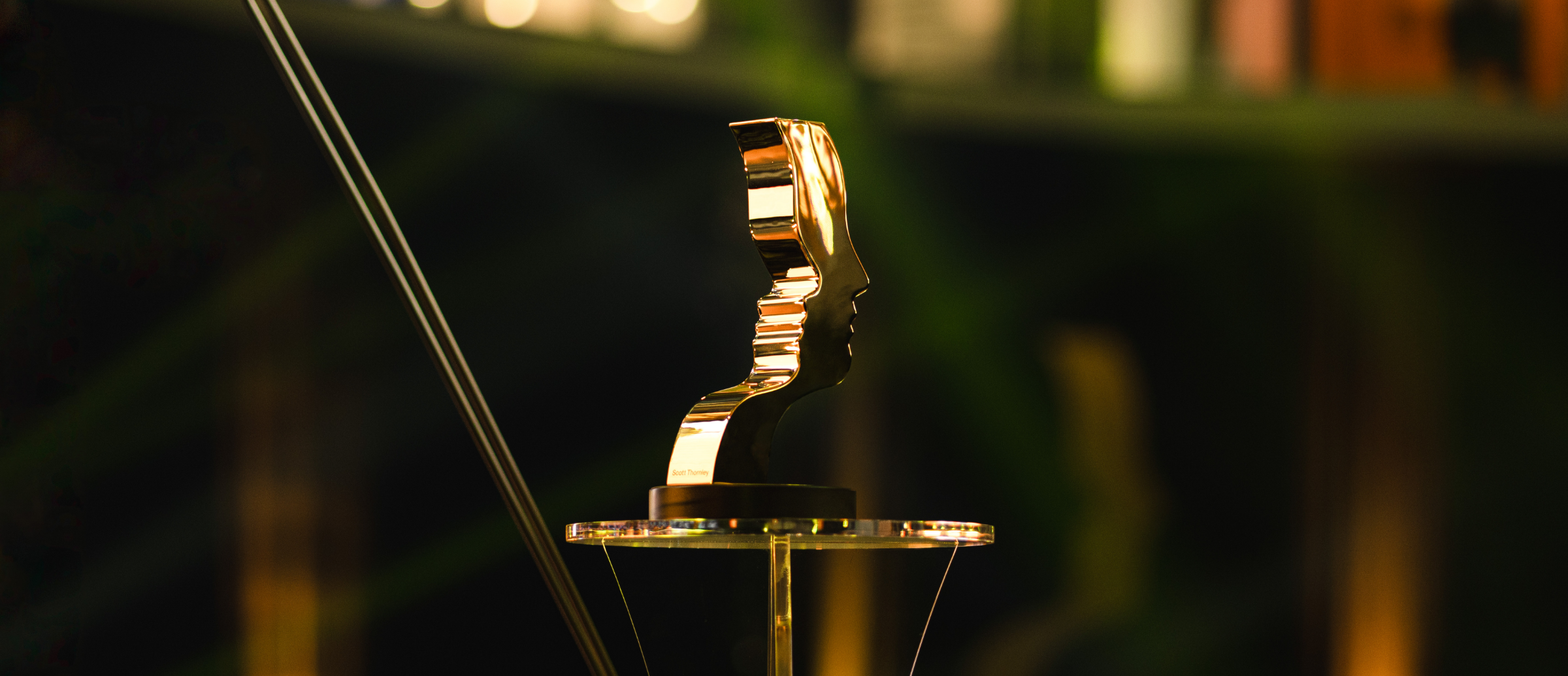 Le Gala des 41es prix Gémeaux