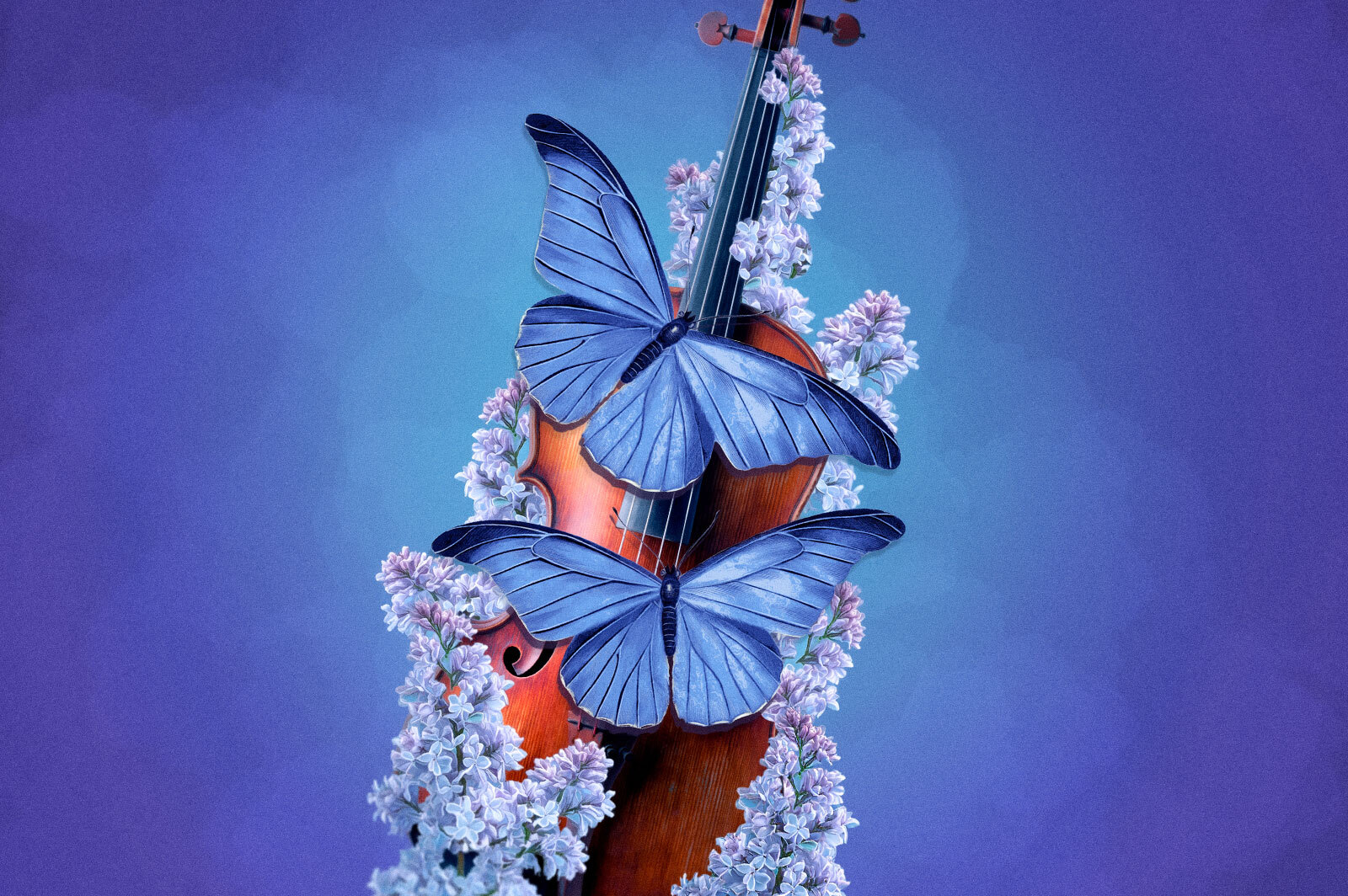 洋楽 butterfly the music of butterfly Butterfly – The Music Of Butterfly – Vinyl (180 gram , LP, Album +