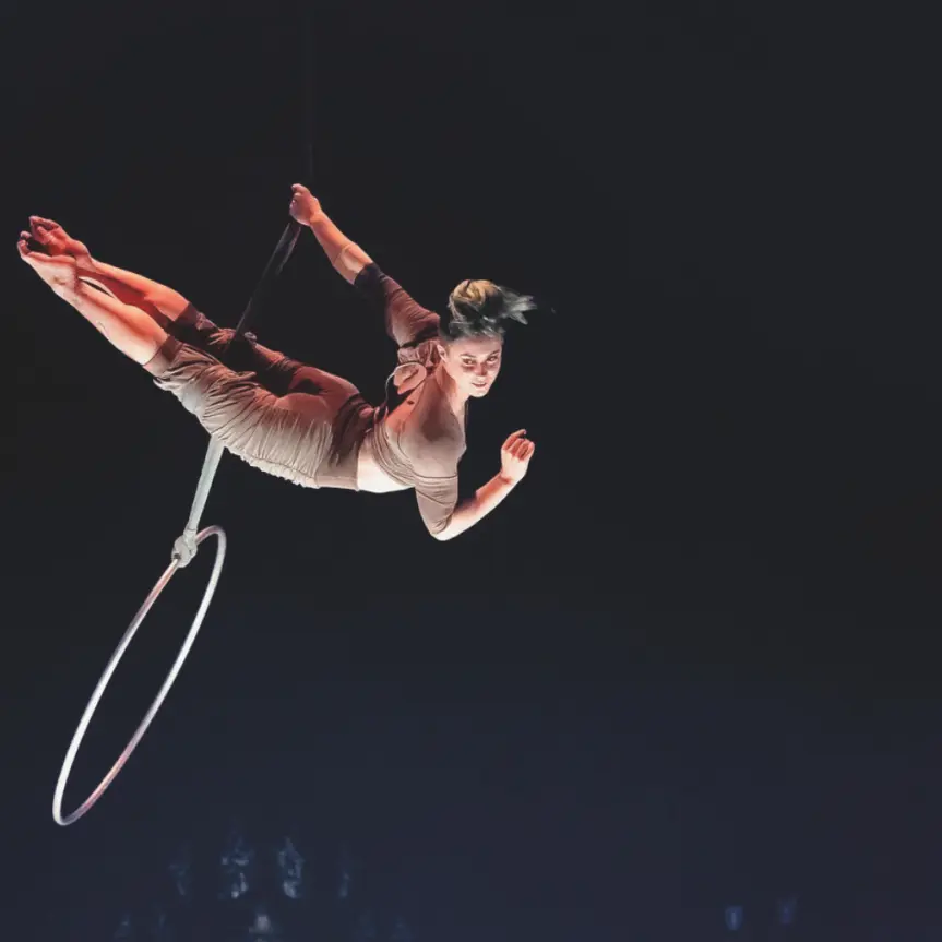 Stellar: the organ’s balancing act