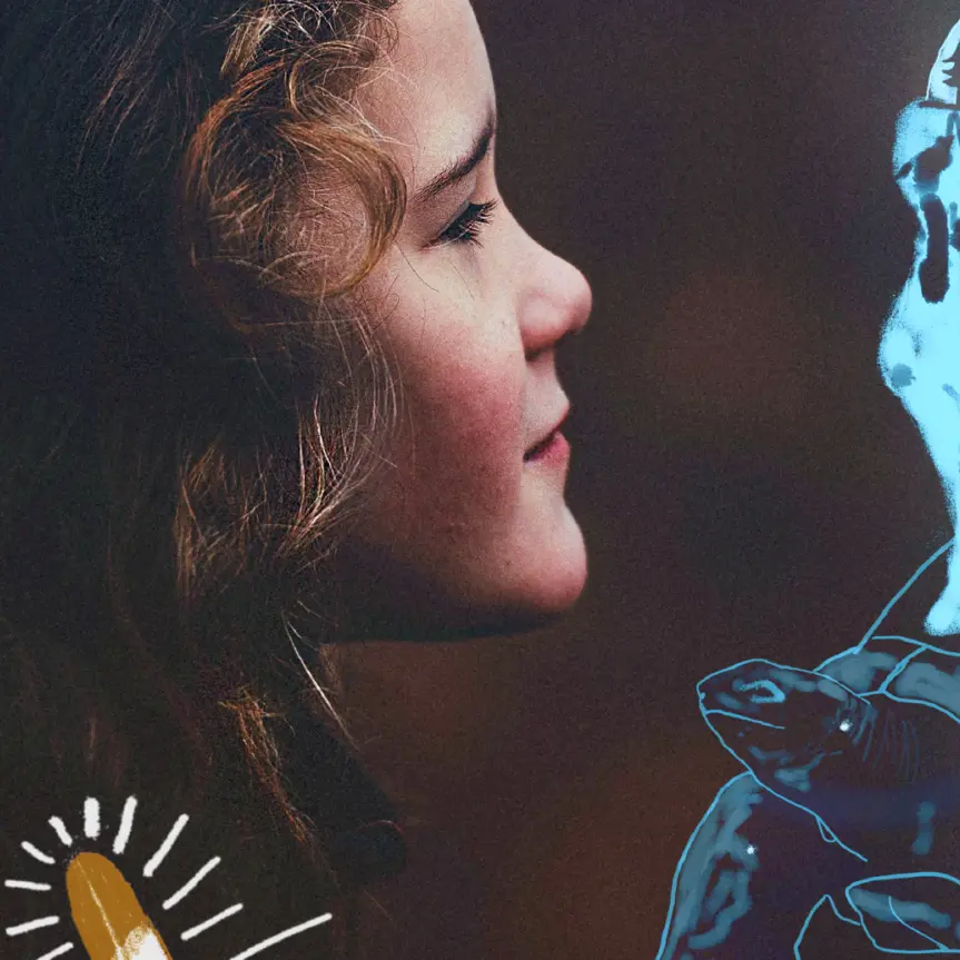 La Plume et la Tortue