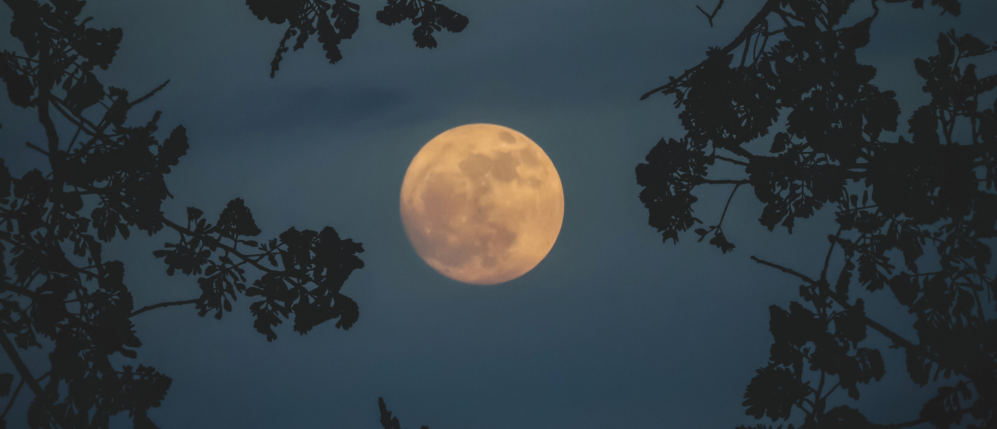 Isle of the Dead at the OSM