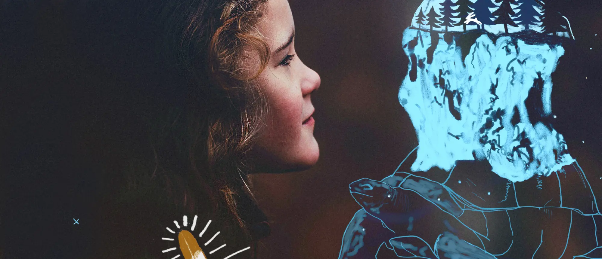 La Plume et la Tortue