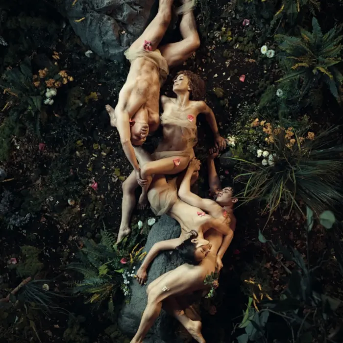 Midsummer Night Dreams