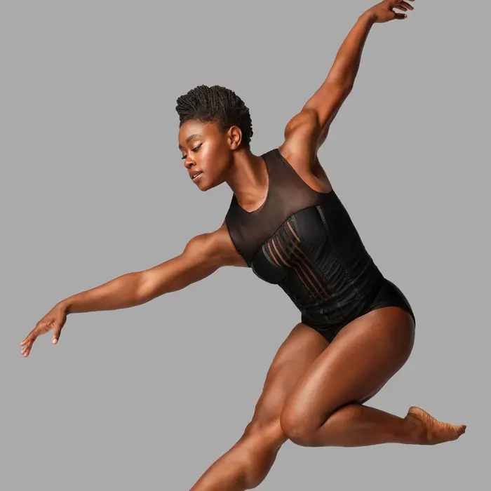 Alvin Ailey American Dance Theater